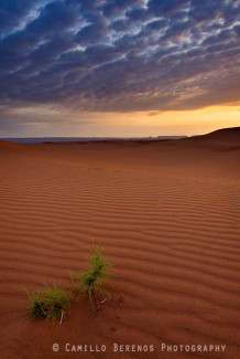 Sunrise in the Sahara desert, Morocco