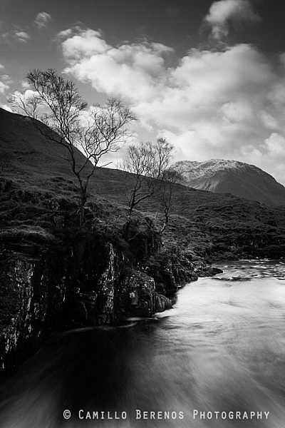 I found this tree just downstream from a waterfall in Glen Etive.