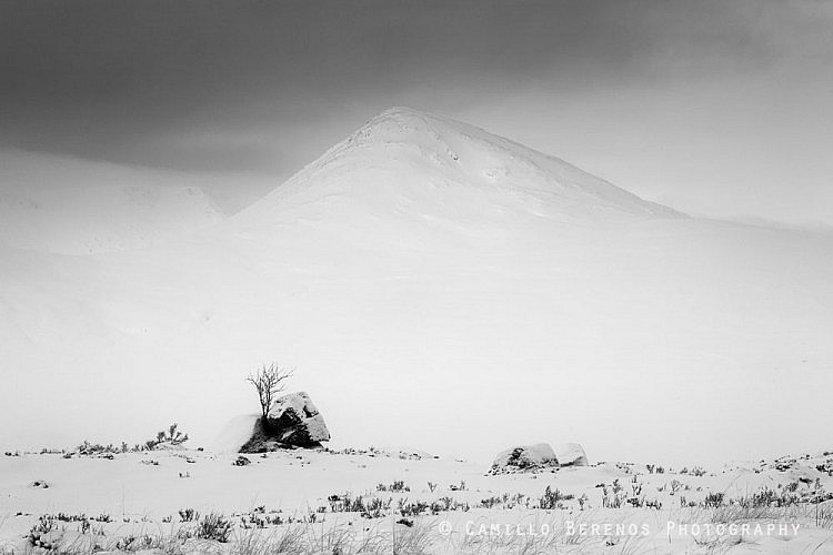 A lone tree on Rannoch Moor with Meall A'Bhuiridh towering high above the wintry landscape