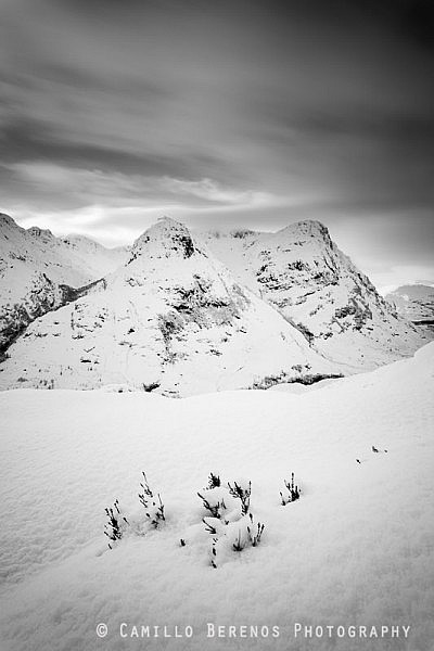 After a few days of January storms, the knee-deep snow had transformed the landscape, but I found that this little heather plant was the perfect foreground for the Three Sisters of Glen Coe.