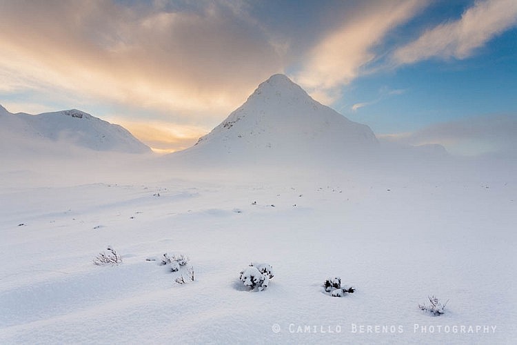 A perfect line of plants piercing through the deep snow cover in fron of the Buachaille Etive Beag, Glen Coe