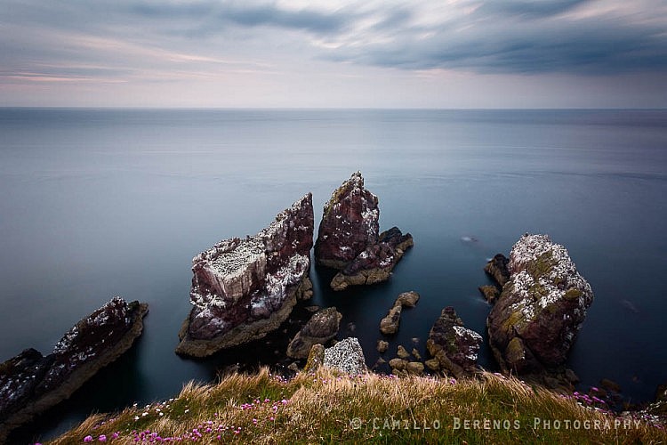 Sea stacks at St Abb's Head ast dusk.